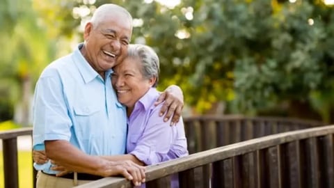 What to Know About Estoria Cooperatives: Our Story